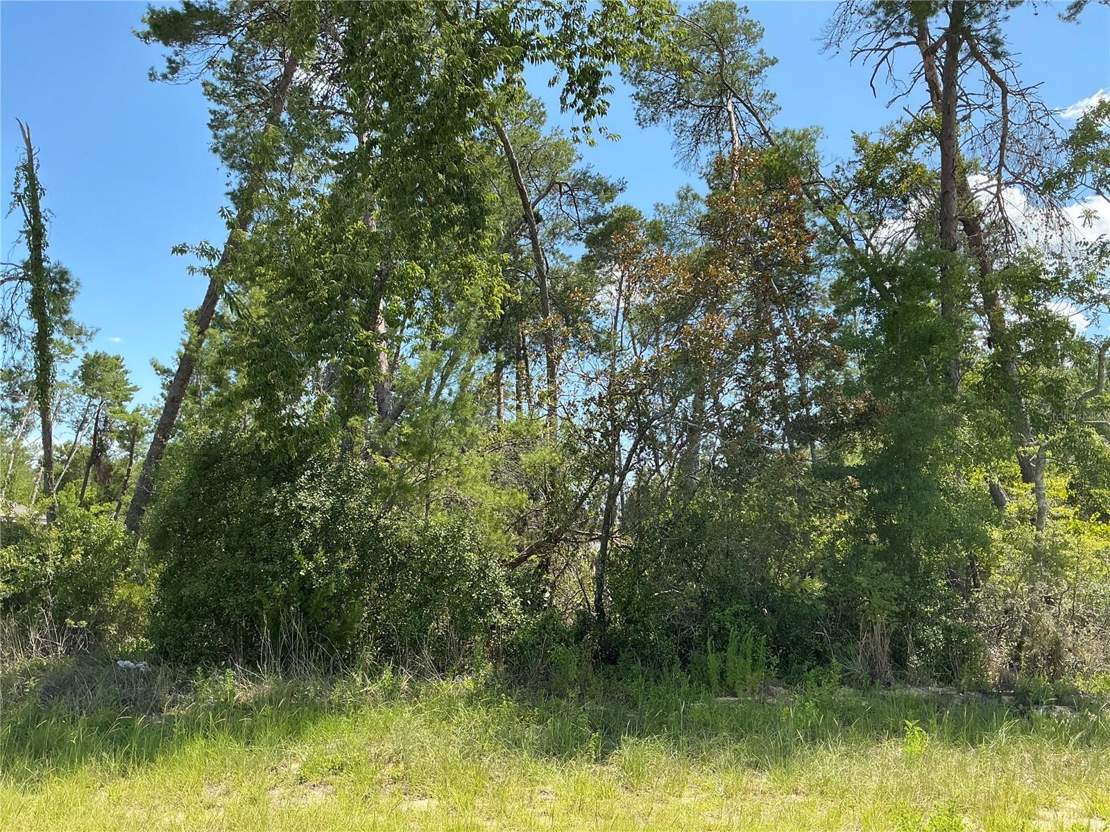 Situated in the heart of Marion Oaks, this residential lot measures 85 by 125 feet, located outside the flood zone, with no wetlands and no endangered species. This lot is shovel-ready and primed for development. Marion Oaks is located south of downtown Ocala and next to I-75 for easy access to the Orlando suburbs. Marion Oaks has plenty to do for nature lovers, including natural springs, state forests, mudding, and biking trails. Marion Oaks is exploding with development due to low housing prices and cheap land. Walmart and shops are just 10 minutes away. Silver Springs Shores, one of the largest artesian spring formations in the world, is just 20 minutes away. Just 20 minutes to downtown Ocala, and 1 hour to downtown Orlando.