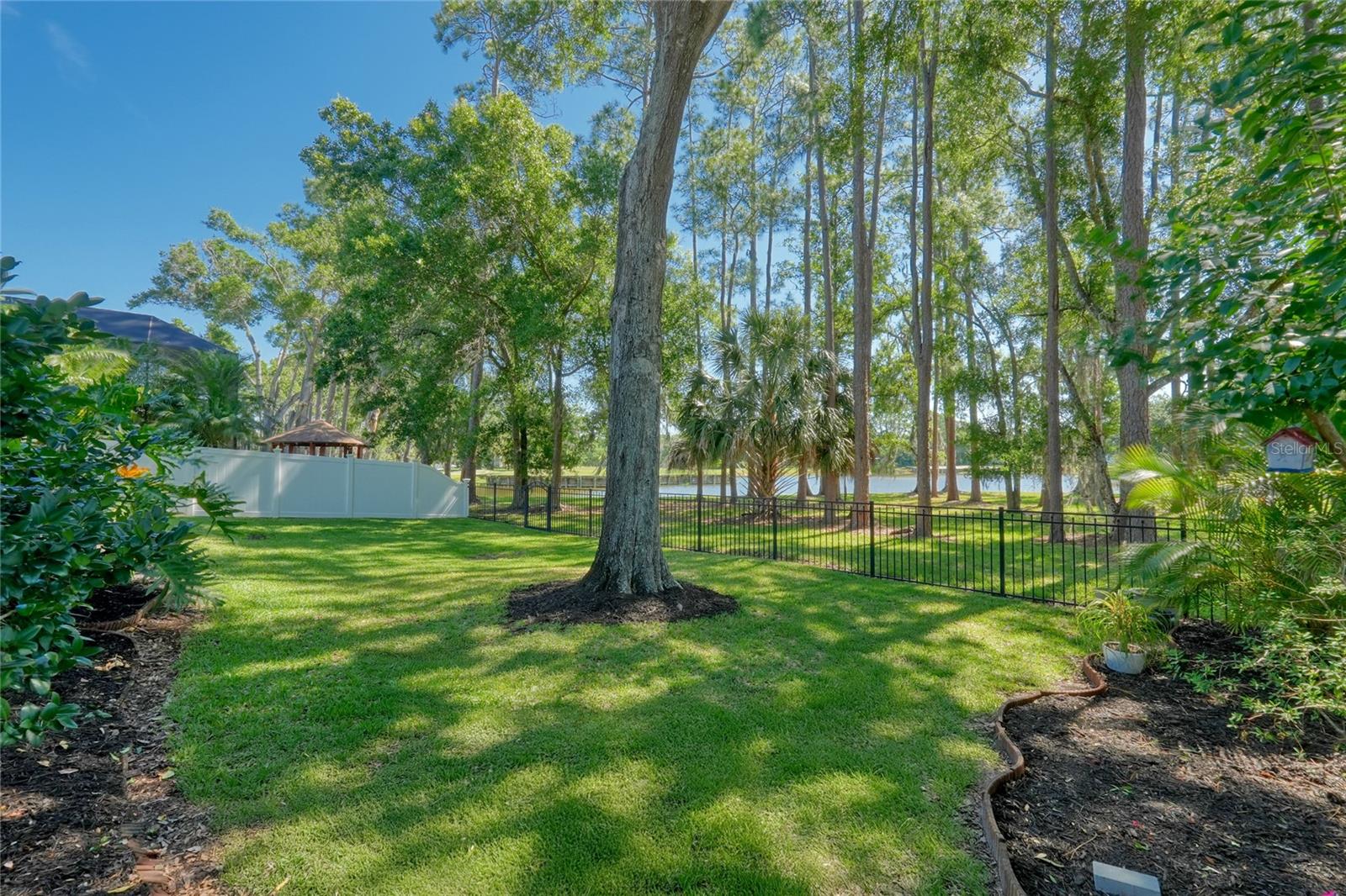 WINDSOR PARK AT THE EAGLES-FI - Residential