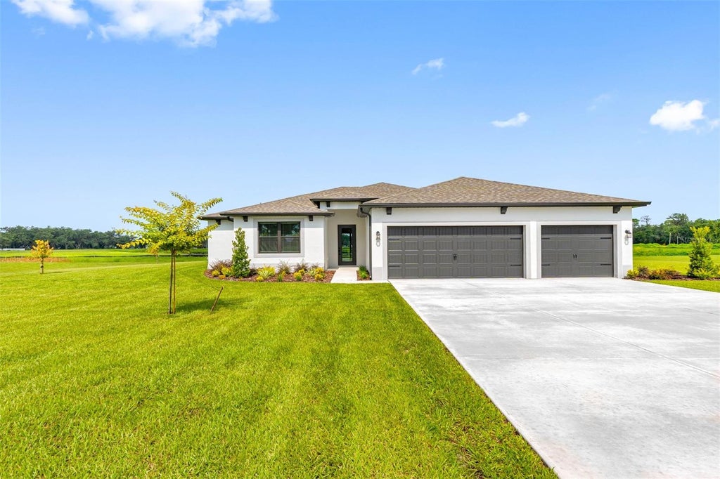 Photo of 13483 Lake Gallagher Drive, Dover, FL 33527 (MLS # TB8535716)