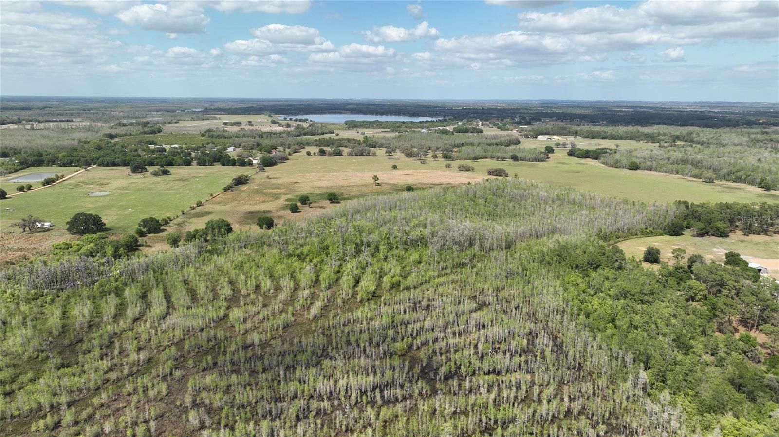 GROVELAND FARMS - Land