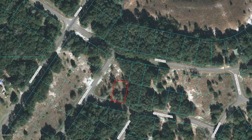 Photo of 00 Guava Terrace Trail, Ocklawaha, FL 32179 (MLS # OM523122)