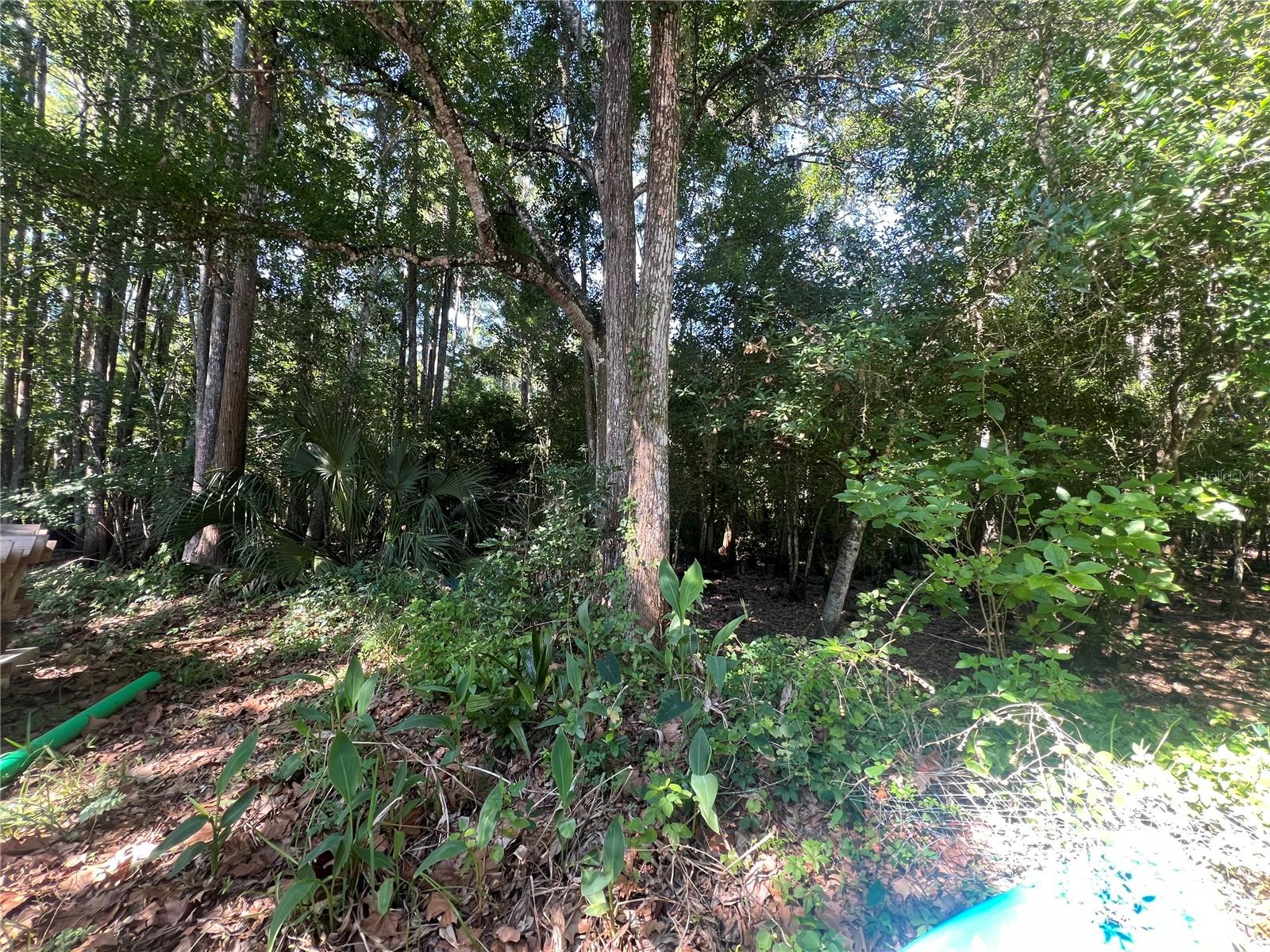 BASS LAKE ACRES - Residential