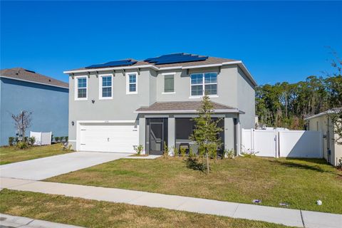 A home in TAVARES