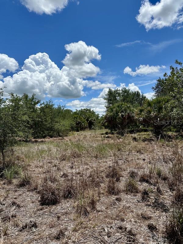 CABBAGE WOODS RAUCHES - Land