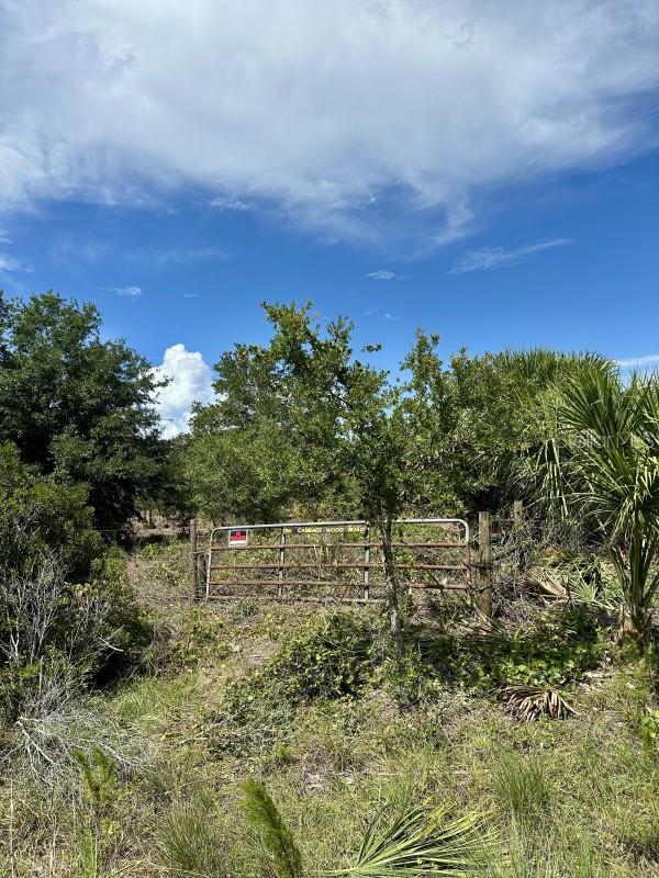 CABBAGE WOODS RAUCHES - Land