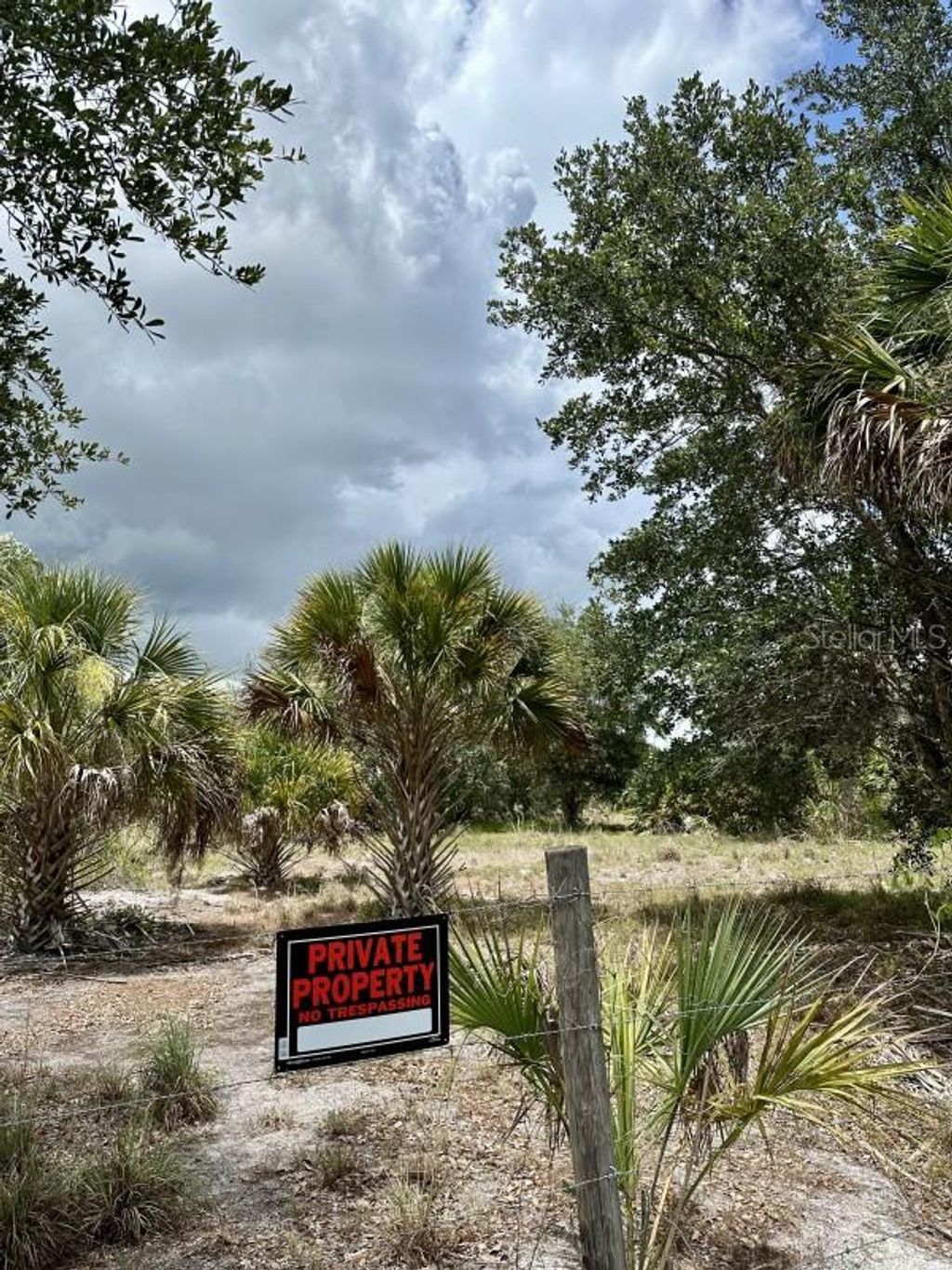 Photo of 1701 Cabbage Wood Road, Okeechobee, FL 34974 (MLS # A4672348)