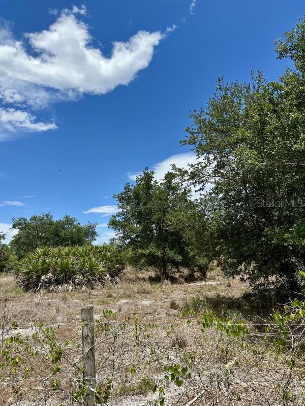 CABBAGE WOODS RAUCHES - Land