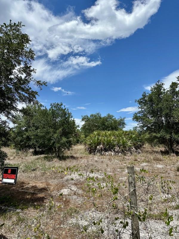 CABBAGE WOODS RAUCHES - Land