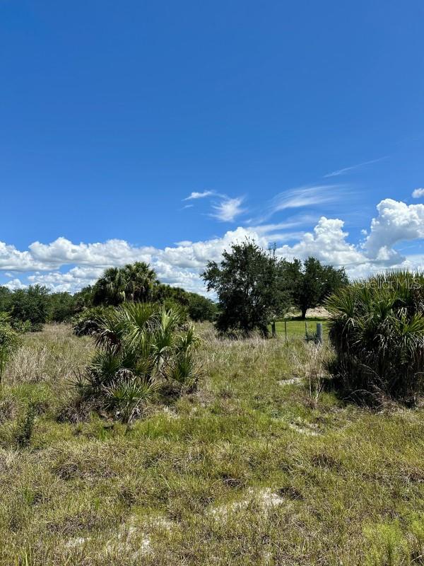 CABBAGE WOODS RAUCHES - Land