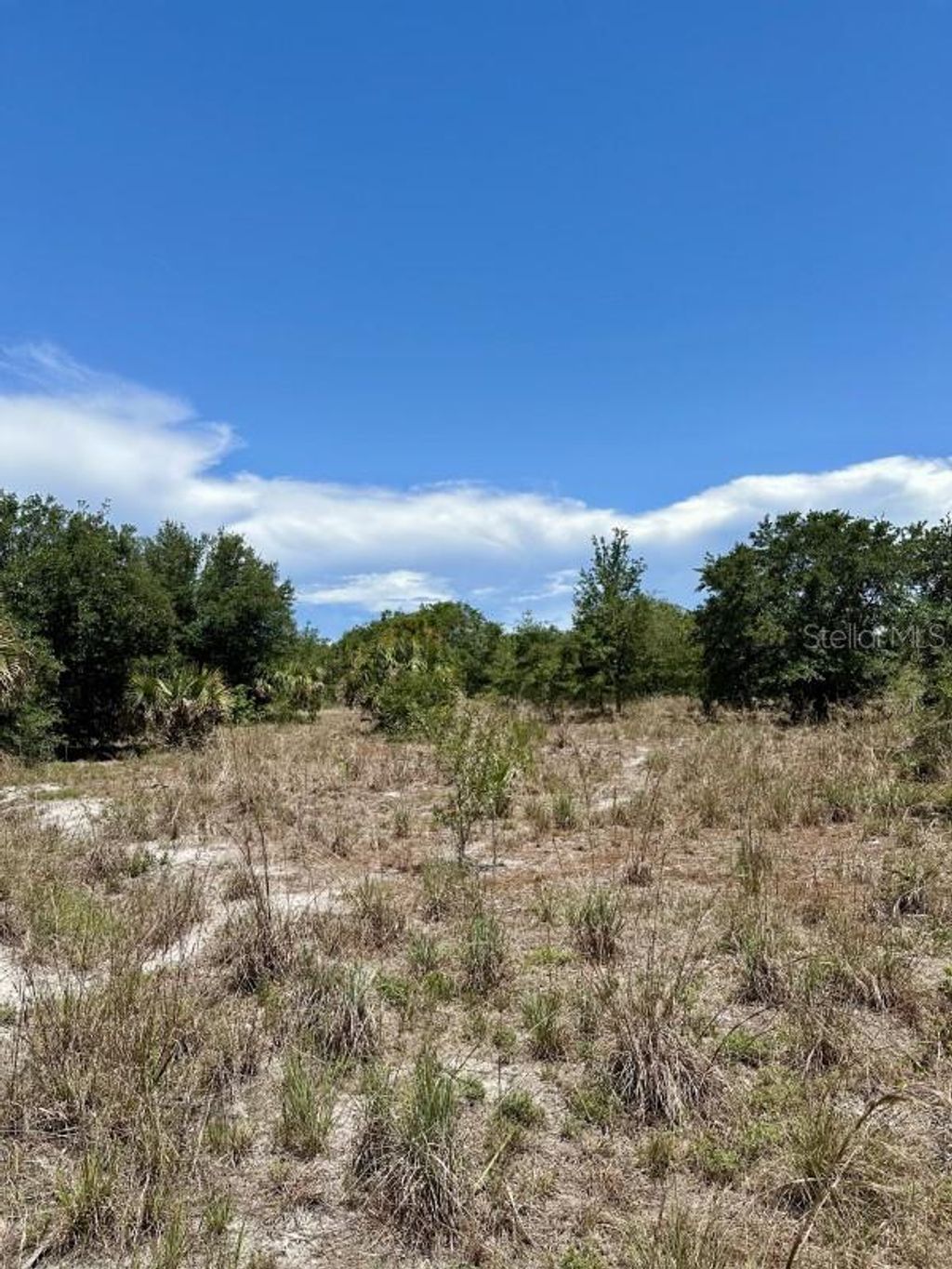 Photo of 1701 Cabbage Wood Road, Okeechobee, FL 34974 (MLS # A4672348)