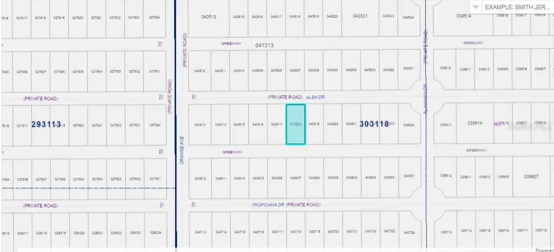 INDIAN LAKE ESTATES - Land