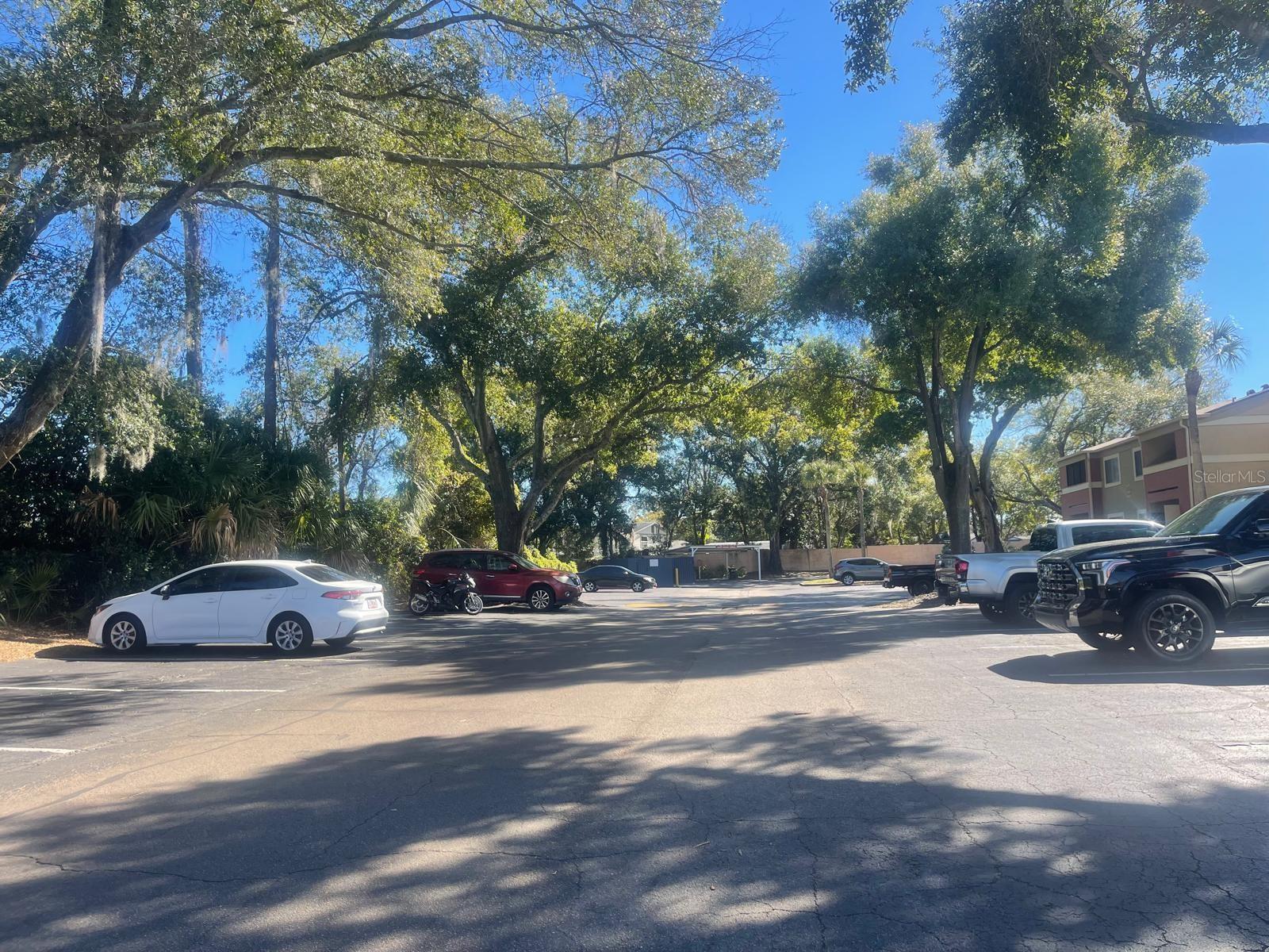 OXFORD SQUARE CONDO - Residential