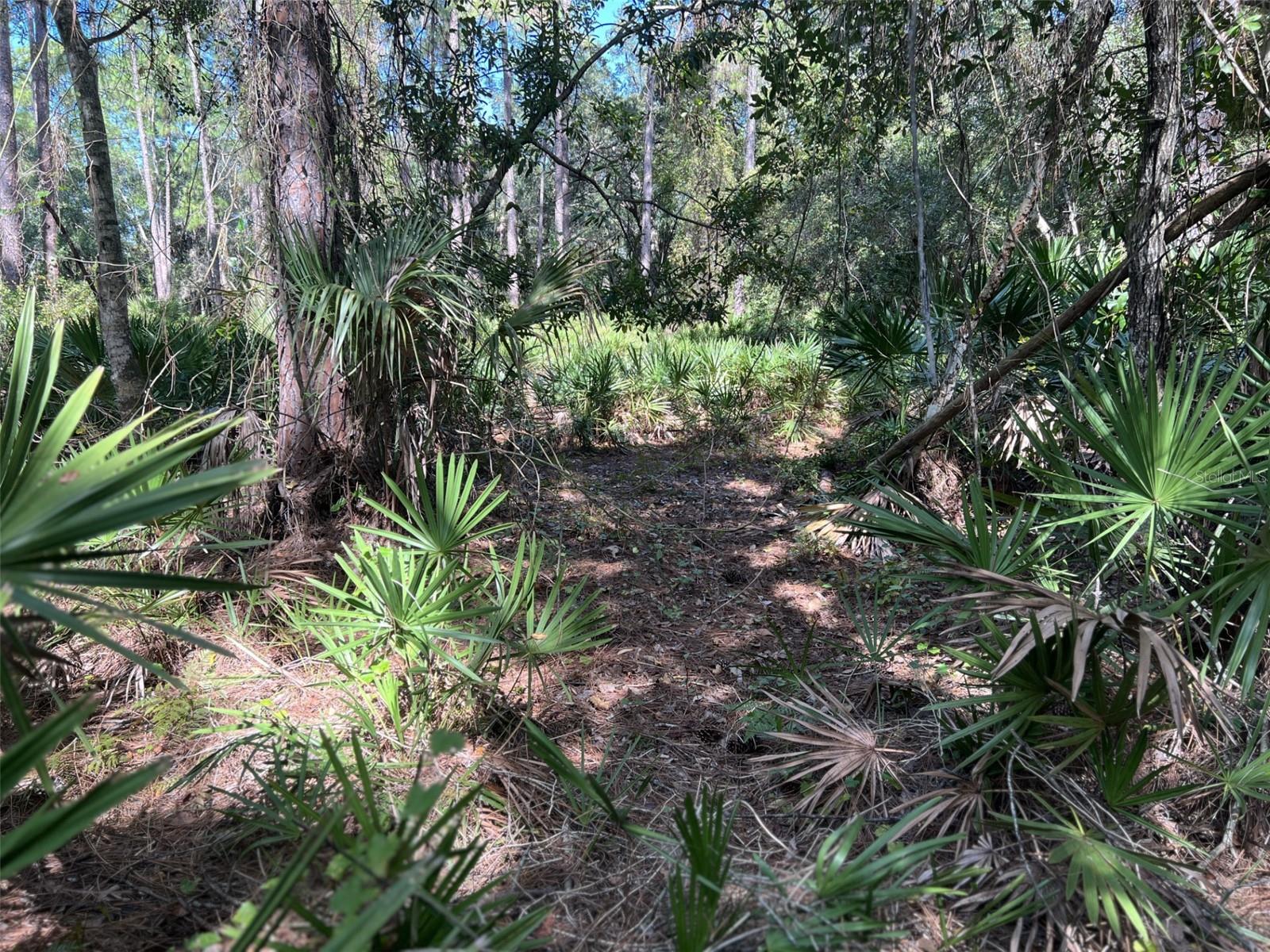 TWIN BRANCH ACRES UNIT FIVE - Land