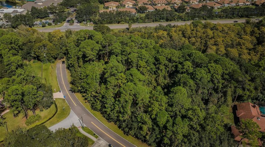 1.66 Acre residential Lot nestled in the Equestrian Community of Twin Branch Acres. Horses are allowed here! This incredible neighborhood is tucked into an area on the Hillsborough Pinellas County line. Here you will find spacious lots, horse trails and only 2 miles to Tampa Bay Downs racetrack. Come build your dream home in this growing, mature area of Tampa Bay with easy access to shopping, restaurants, parks, beaches, activities, and easy travel to the Tampa International Airport. There is a voluntary HOA of $150.00 per year. This area offers grade A and 5-star community-rated schools as well as several magnet schools for all grade levels.