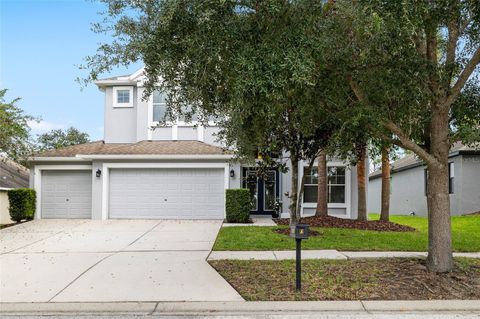 15629 STARLING WATER DRIVE LITHIA FL 33547