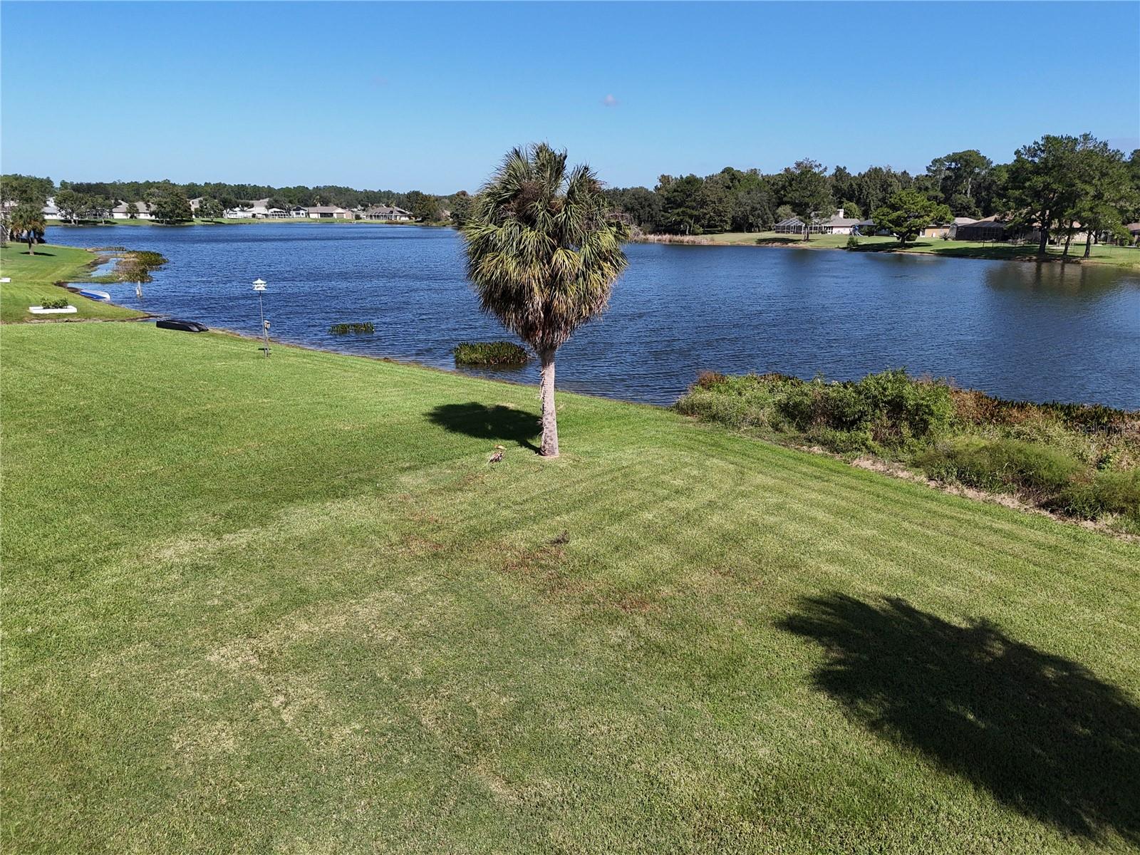 5 HICKORY LOOP