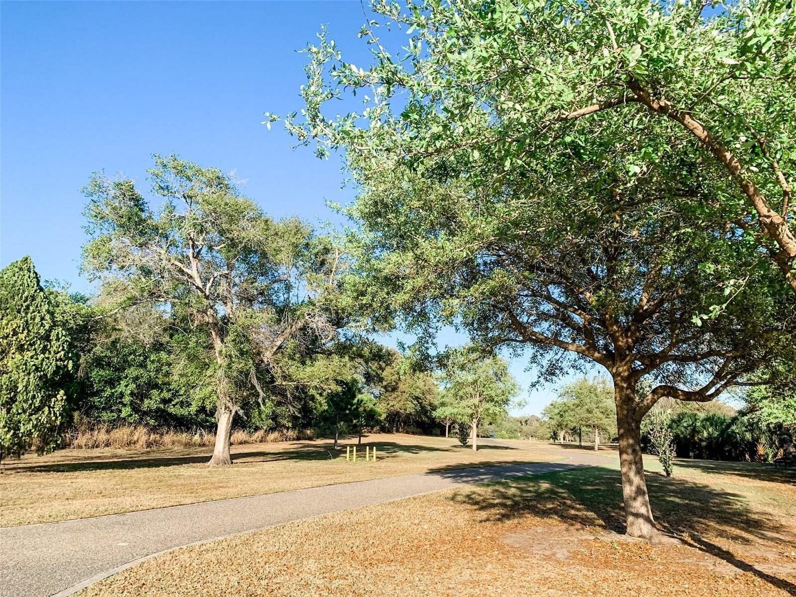 BRIGADOON OF CLEARWATER - Residential