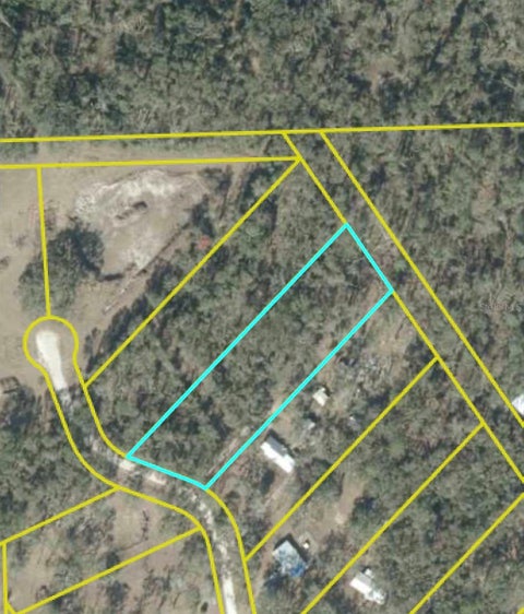 Photo of SW Oakdale Road, Mayo, FL 32066 (MLS # A4705258)
