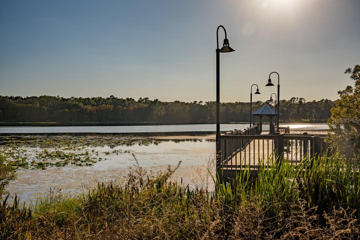 HAMPTONS/METROWEST - Residential