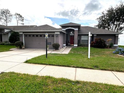 Photo of 11138 Brooklawn Drive, Hudson, FL 34667 (MLS # TB8348757)