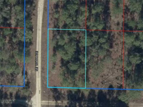 NE 15TH LN BLOCK 122 LOT 11 WILLISTON FL 32696