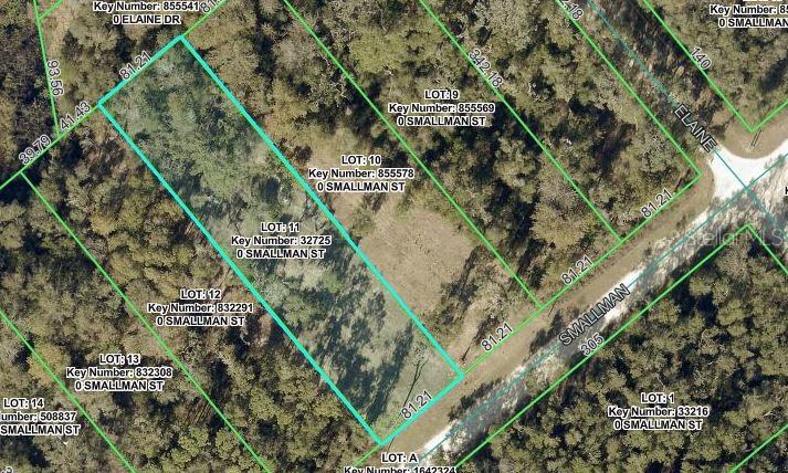 Great opportunity to own a cleared lot at .64 acres in Ridge Manor. This property is also available with the cleared property next to it which is also .64 acres and priced the same. This will give you a total of 1.28 acres. There is a lake behind it! This is not in a flood zone.