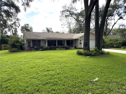 A home in MOUNT DORA