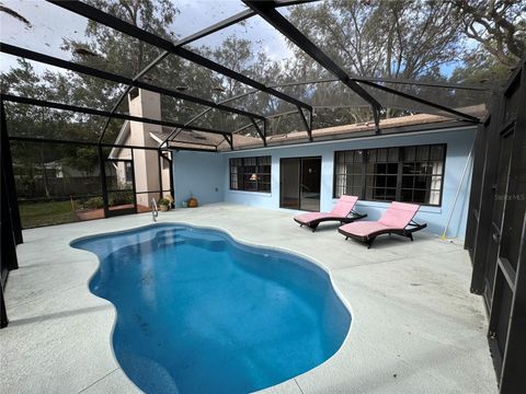 A home in MOUNT DORA