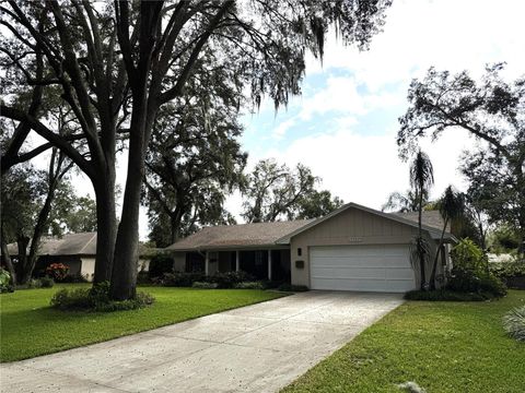 A home in MOUNT DORA