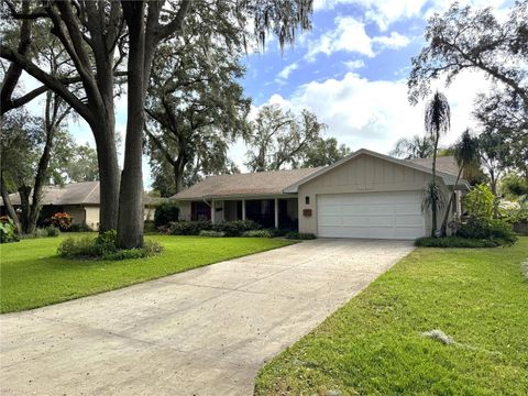 A home in MOUNT DORA