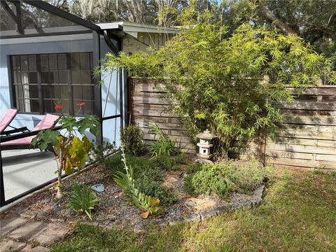 A home in MOUNT DORA