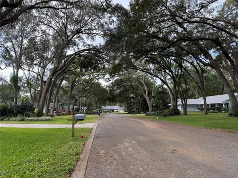 A home in MOUNT DORA