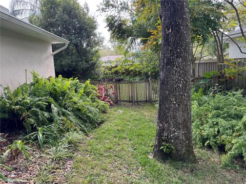 A home in MOUNT DORA