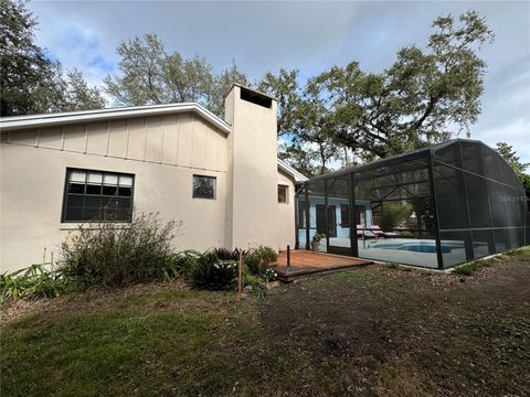 A home in MOUNT DORA