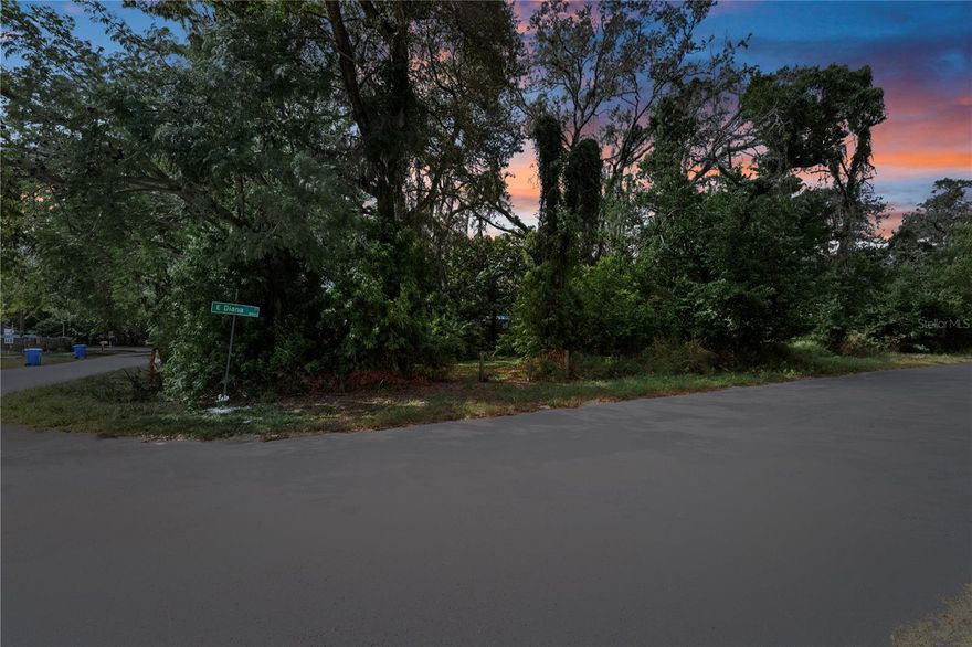 Discover this prime corner lot in Tampa, offering the perfect setting to build your dream home. With no HOA restrictions, you’ll have the freedom to design and enjoy your space exactly how you envision it. Conveniently located and easily accessible, this rare corner property provides a unique opportunity in one of Tampa’s sought-after areas. Don’t miss your chance to own this exceptional lot — a true must-see!
Click link for the video - https://youtu.be/rInwzcq5YLY