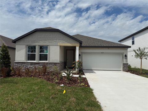 Photo of 10176 Hidden Hammock Loop, Parrish, FL 34219 (MLS # TB8427116)