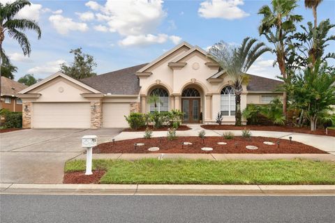 A home in PALM HARBOR