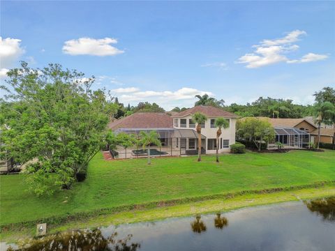 A home in PALM HARBOR