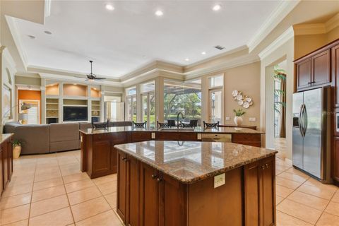 A home in PALM HARBOR