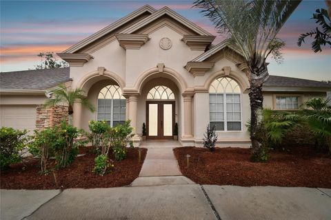 A home in PALM HARBOR