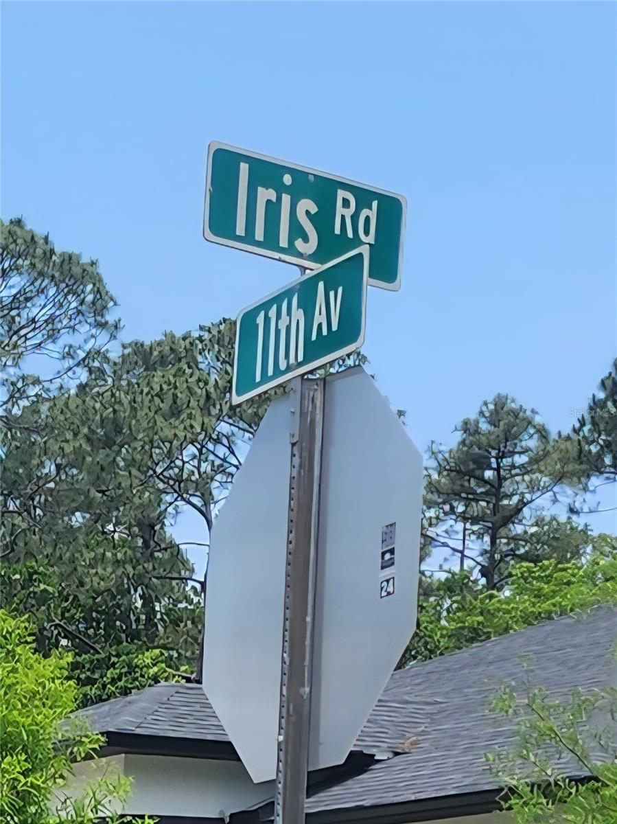 11 TH