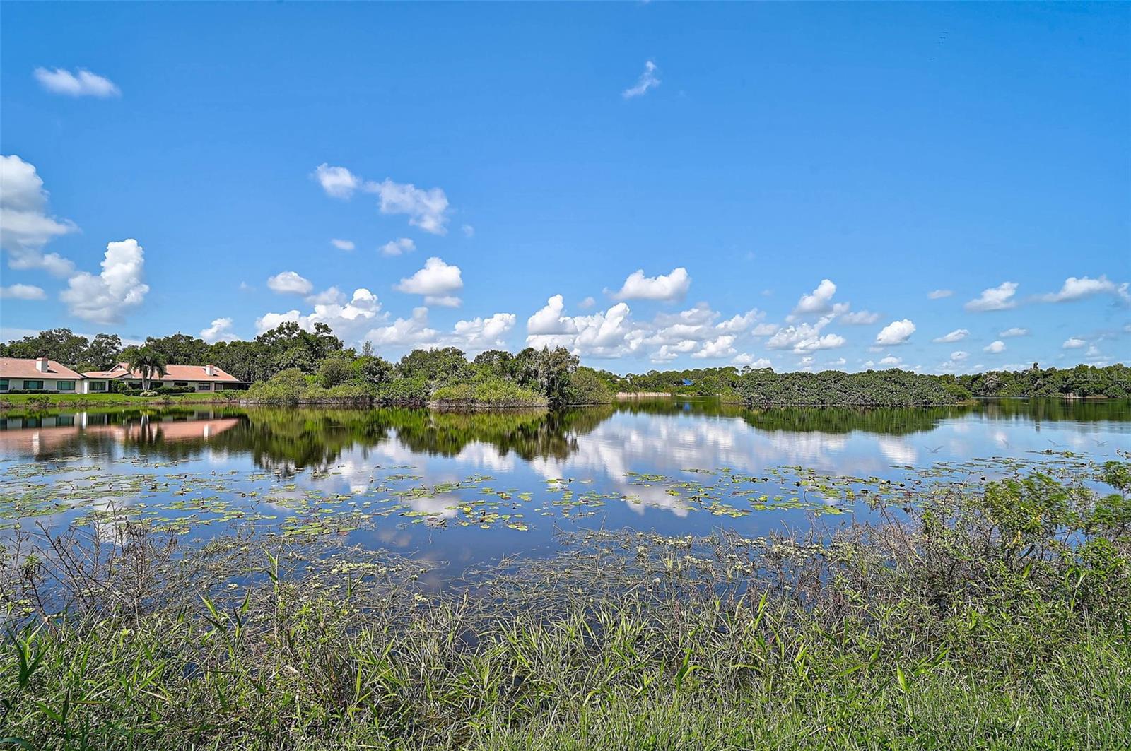 HAMMOCKS IV - Residential