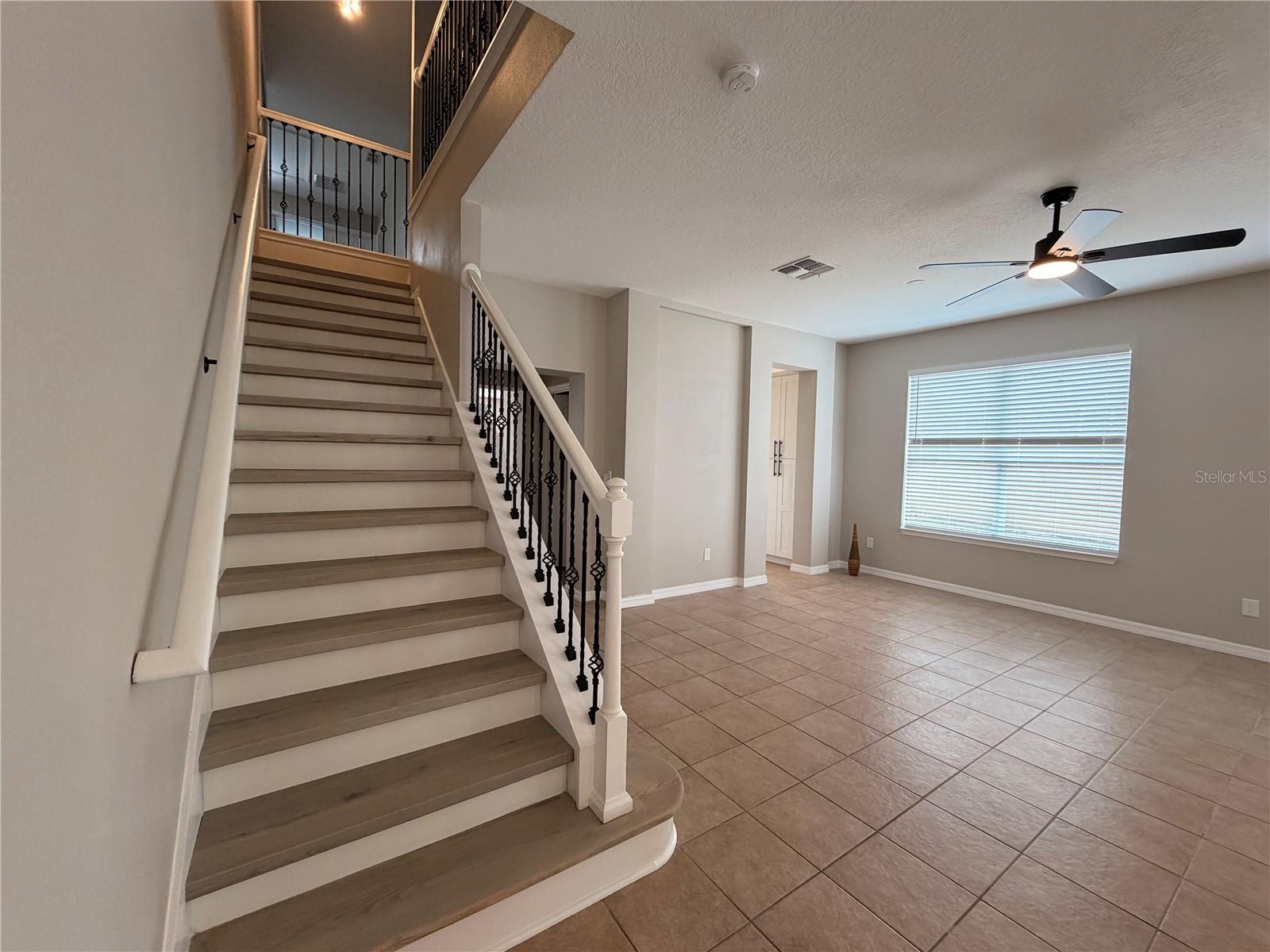 528 ORANGE COSMOS BOULEVARD