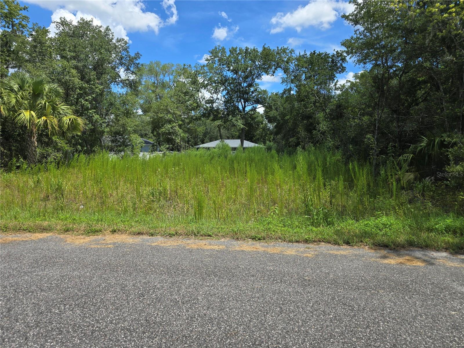 Buildable 0.24-Acre Lot in Silver Springs Shores! This residential lot is located in a quiet area of Ocala, Florida, within the desirable subdivision of Silver Springs Shores. Zoned for single-family homes — site-built only. Lot dimensions are approximately 82 x 125. Electric nearby and internet available. Buyer will need to install a well and septic system. No HOA. Paved road access. Perfect for building your dream home or investing in future development.
Text listing agent with any questions