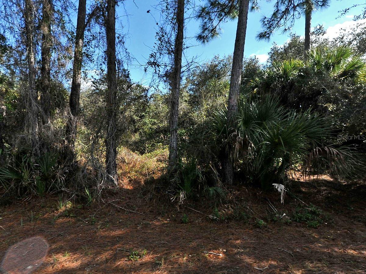 Discover Your Dream Home Site in Northport, Florida! Embrace the opportunity to build your perfect home on this spacious single-family building lot nestled in the serene community of Northport. Surrounded by lush greenery and a tranquil atmosphere, this parcel of land offers the ideal setting for your future residence. Generous Lot Size: Plenty of room to design your dream home with a backyard oasis, outdoor entertaining space, or even a garden retreat. This lot provides the versatility you've been looking for! Peaceful Neighborhood: Enjoy the quiet charm of Northport, where you can experience the best of suburban living while still being close to urban amenities. Friendly neighbors and a welcoming community await you. Convenient Location: Situated just minutes from shopping centers, dining options, and recreational facilities. With easy access to major highways, commuting to nearby cities is a breeze! Outdoor Activities: Take advantage of the nearby parks, hiking trails, and waterways—perfect for those who love nature and outdoor adventures. Whether it's fishing, kayaking, or simply enjoying the great Florida sunshine, there’s something for everyone. Don’t miss this incredible opportunity to secure a prime piece of real estate in Northport, Florida! Bring your vision to life and start planning your dream home today!