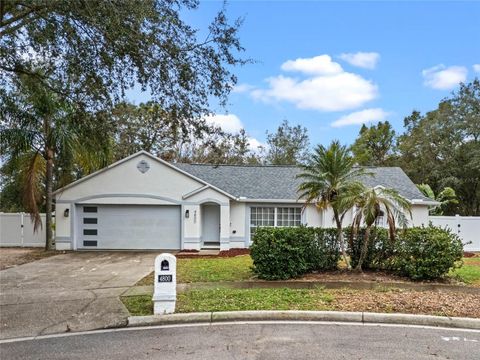 A home in APOPKA