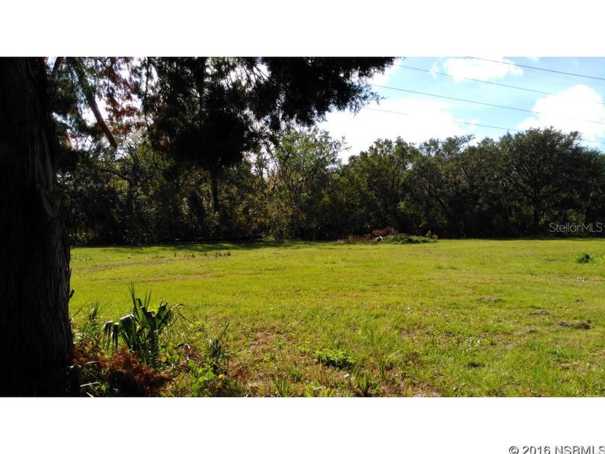 LOCATION..LOCATION..LOCATION...OWNER FINANCING AVAILABLE WITH $30k DOWN- 6% AMORTIZED 20YEARS WITH 10 YEAR BALLOON ... LARGE NEWER METAL COMMERCIAL TYPE BUILDING WITH OVERHEAD DOOR (GREAT FOR PLAY TOYS, STORAGE) ON BEAUTIFUL 13 ACRE PARTIALLY CLEARED PROPERTY PROPERTY 400 FOOT FRONTAGE. APPROX. 1470 FOOT BACK .. RECTANGLE SHAPE  ... CLEARED FRONT  . BACK APPROX. 3.5 ACRES IS RESOURCE CORRIDOR WHICH CAN NOT BE TOUCHED SO NATURAL BARRIER FOR YOUR PROPERTY .... 9.5 ACRES, PARTS ARE LESS DENSE  .. A3 .. HORSES OK. GATE & PARTIAL FENCE. ELECTRIC  ON PROPERTY. ... CLOSE TO MAJOR HIGHWAYS INCLUDING I- 95 & ROUTE 1 YET PRIVATE .... NEIGHBOR TO MASSEY RANCH AIRPARK COMMUNITY (PRIVATE AIRPORT) ... PERFECT !!  .... NO SURVEY  .. VARIANCE NEEDED DUE TO POLES ON PROPERTY TO BUILD HOME NEED 150 FOOT FRONTAGE ... VERY SMALL MAN MADE POND IN CENTER...2 SMALLER OLD BARNS... PRICED TO SELL ... COMPARE TO: SMALL  80 foot frontage X 125  EDGEWATER BUILDING LOT ... CHECK IT OUT !!; Cleared: Partial ;Water: Available at Site