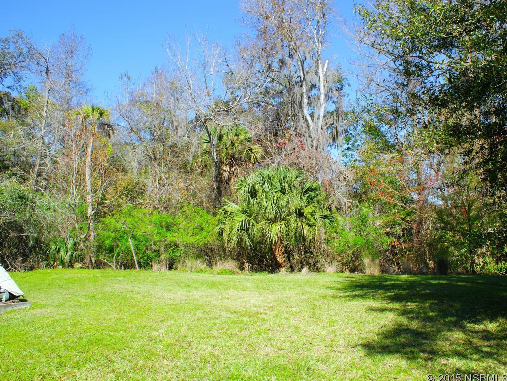 Tomoka Farms - Residential