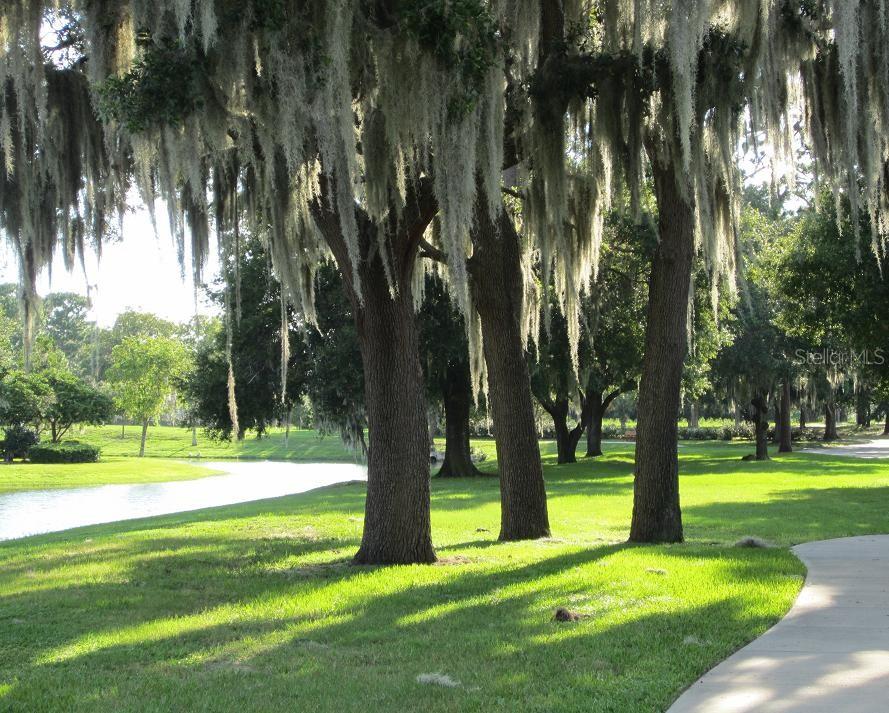 FOX HOLLOW VILLAGE - Residential