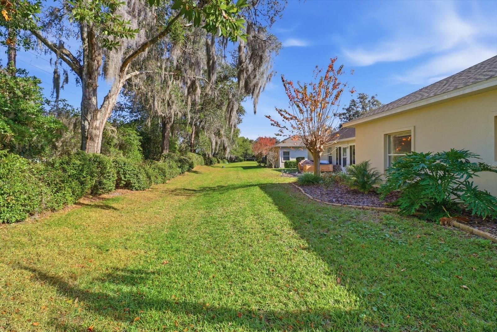 FOX HOLLOW VILLAGE - Residential